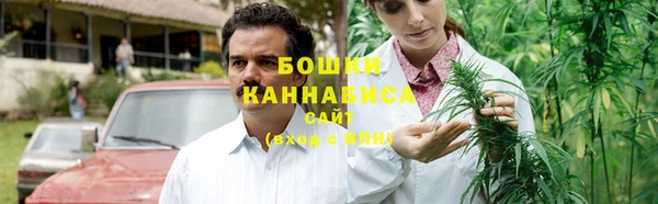 крисы Корсаков