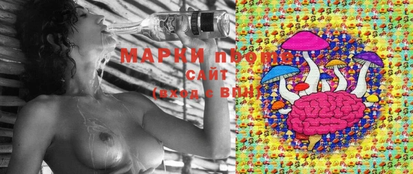 СК Коряжма