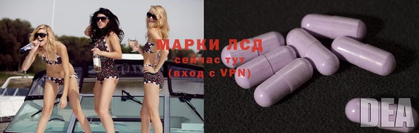 PSILOCYBIN Козловка