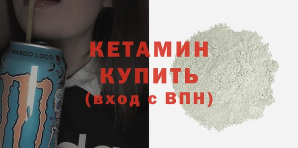 крисы Корсаков