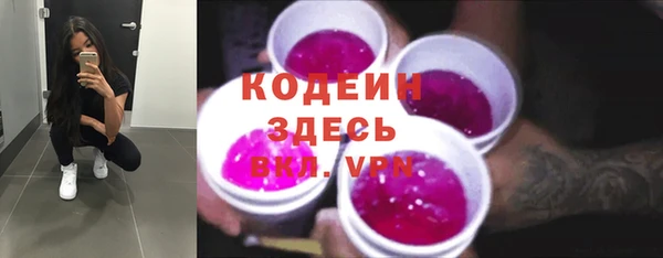 крисы Корсаков