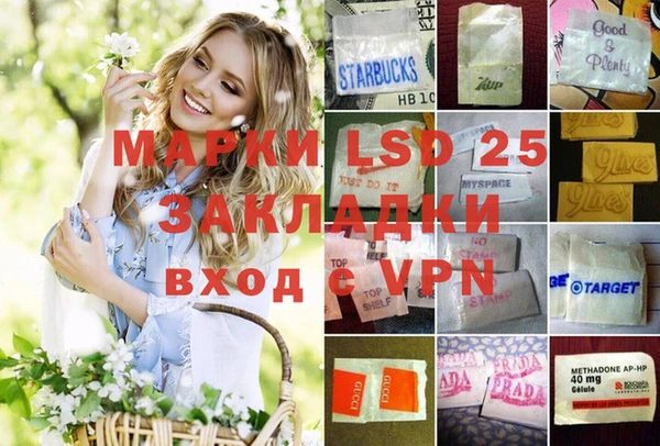 крисы Корсаков