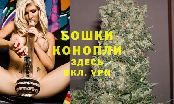 крисы Корсаков