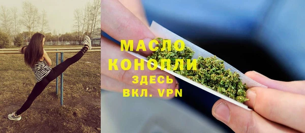 гидра Киренск