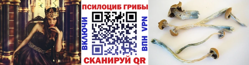 мега вход  Малоярославец  Галлюциногенные грибы прущие грибы 