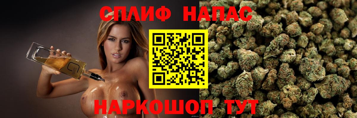 Каннабис планчик  Вход с VPN  Малоярославец  Канабис Ganja  Бошки Шишки OG Kush 